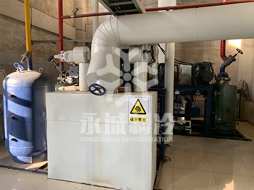 山東藍(lán)潤(rùn)水產(chǎn)有限公司海產(chǎn)品-20度冷藏庫(kù)